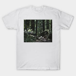 Forest Path T-Shirt